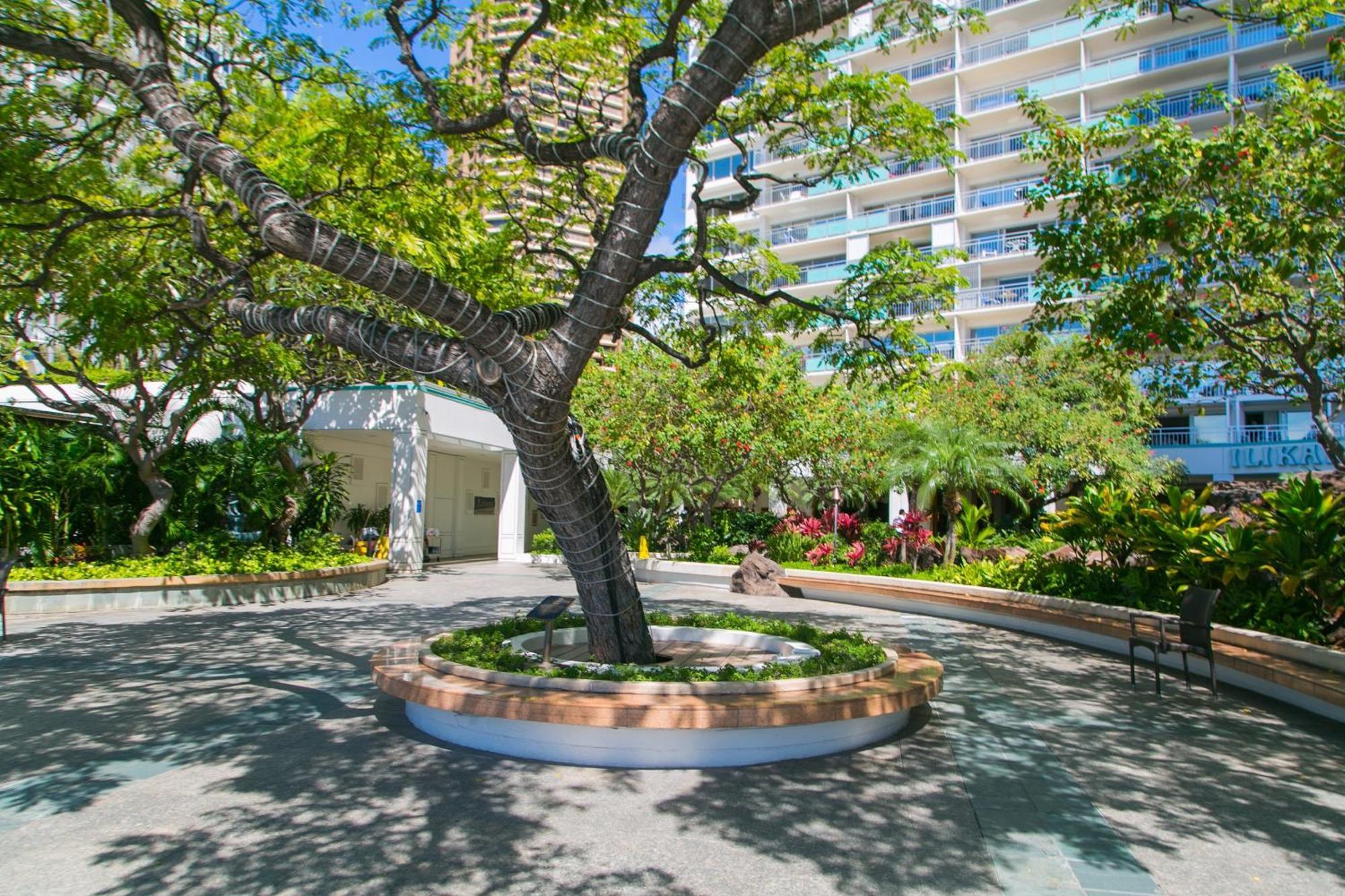 Ilikai Tower 1403 City View 1Br Гонолулу Экстерьер фото